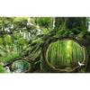 Magical Enchanted Forest Wall Mural Tree Cave Nature Scenery Wallpaper Home Decor