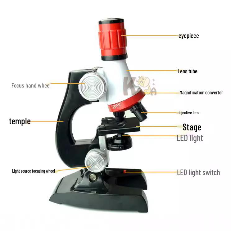 High-Definition Children's Microscope Set for Early Science Education and Specimen Exploration