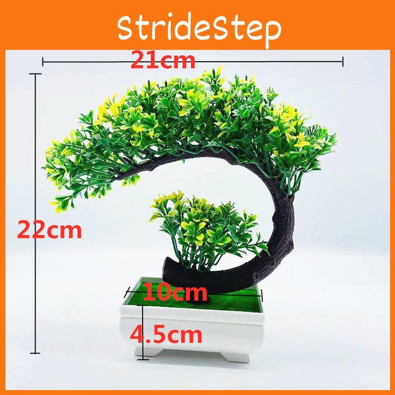 Hwangshanensis Pinus Simulated Plastics Trees Green Plants Plants Potted