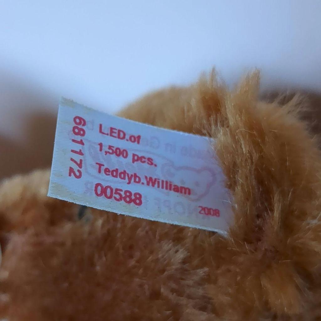 [USED] Steiff William & Henry Brothers Teddy Bear In a Tin