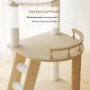Multi-Level Cat Tree with Space Capsule