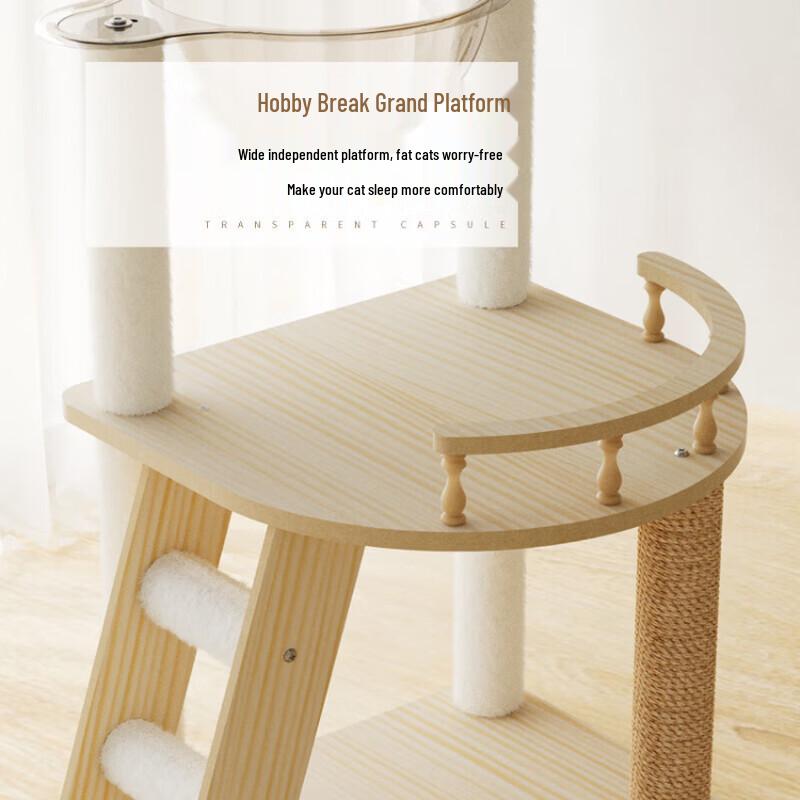 Multi-Level Cat Tree with Space Capsule