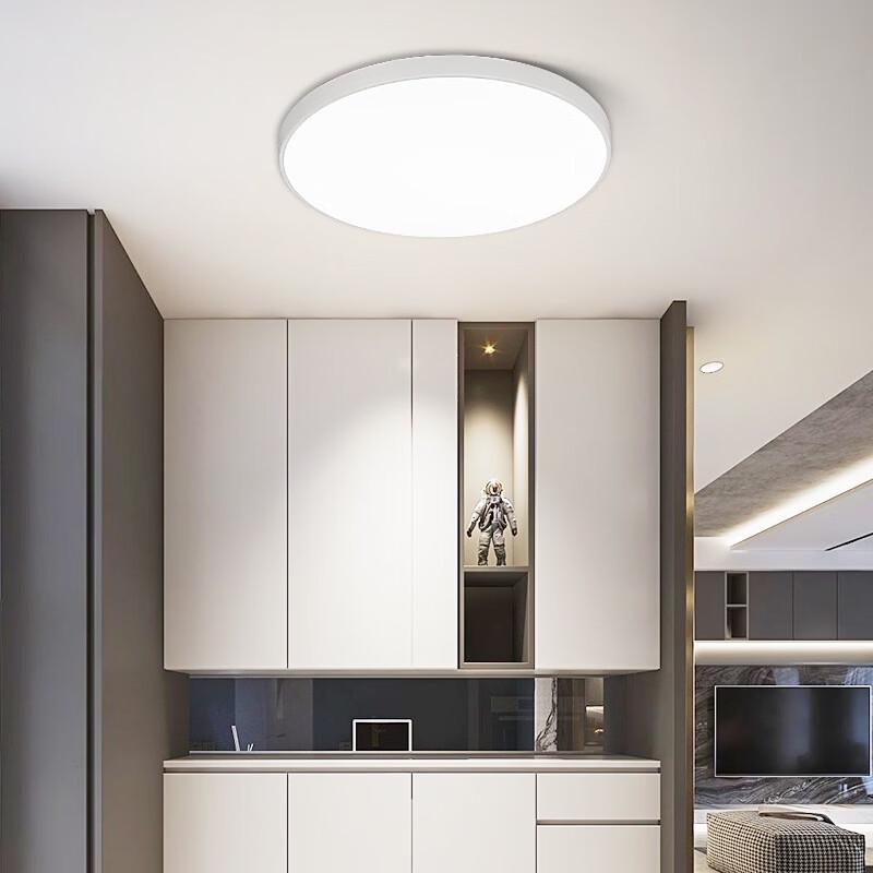 oeny Modern Ultra-Thin LED Ceiling Light