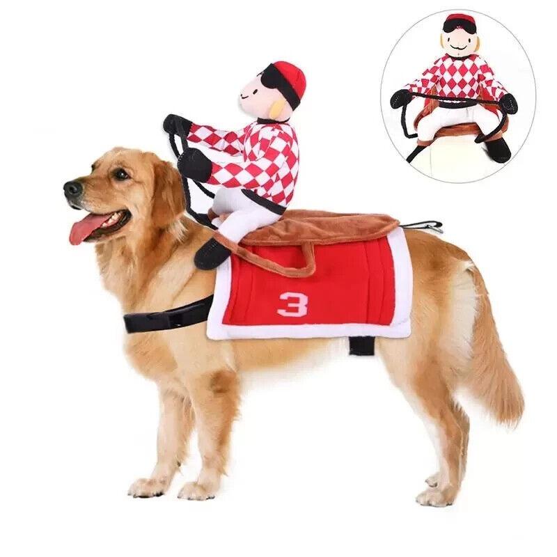 Factory Direct Horse Riding Costume For Pets Cosplay Knight Costume For Dogs