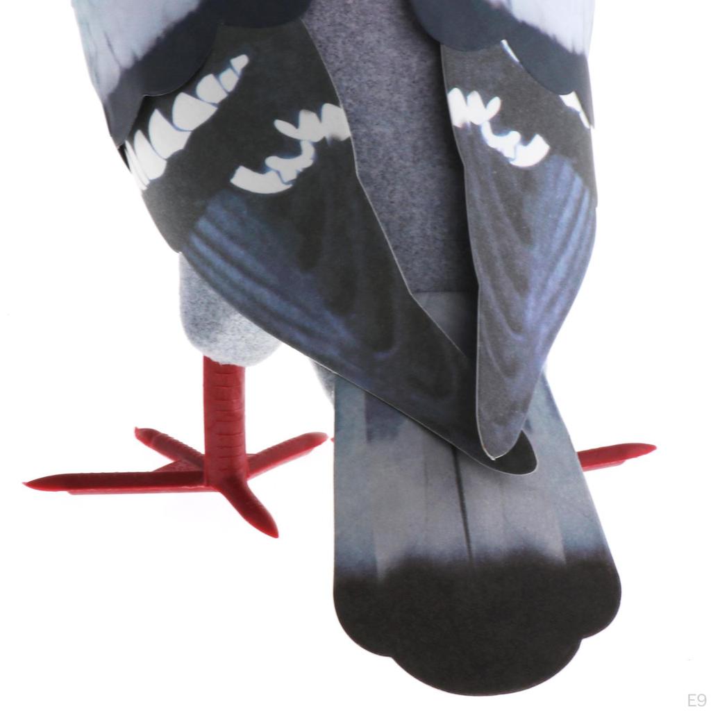 2 Pieces Realistic Foam Bird Statuette Ornament Simulated Detailed Educational Decoration Suitable