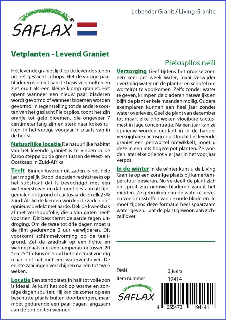 SAFLAX Lebender Granit – 40 Samen – Pleiospilos nelii