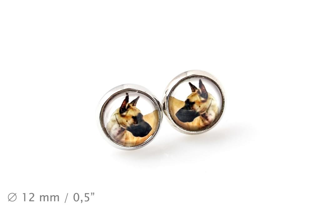 Deutsche Dogge I - Ohrringe Ihr Foto handgefertigt, eigenes Foto, Schmuck von der Marke Art.-Dog