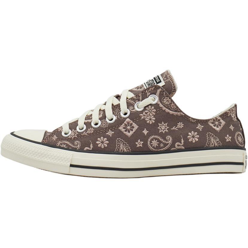 Converse Chuck Taylor SEASONAL Canvas Shoes