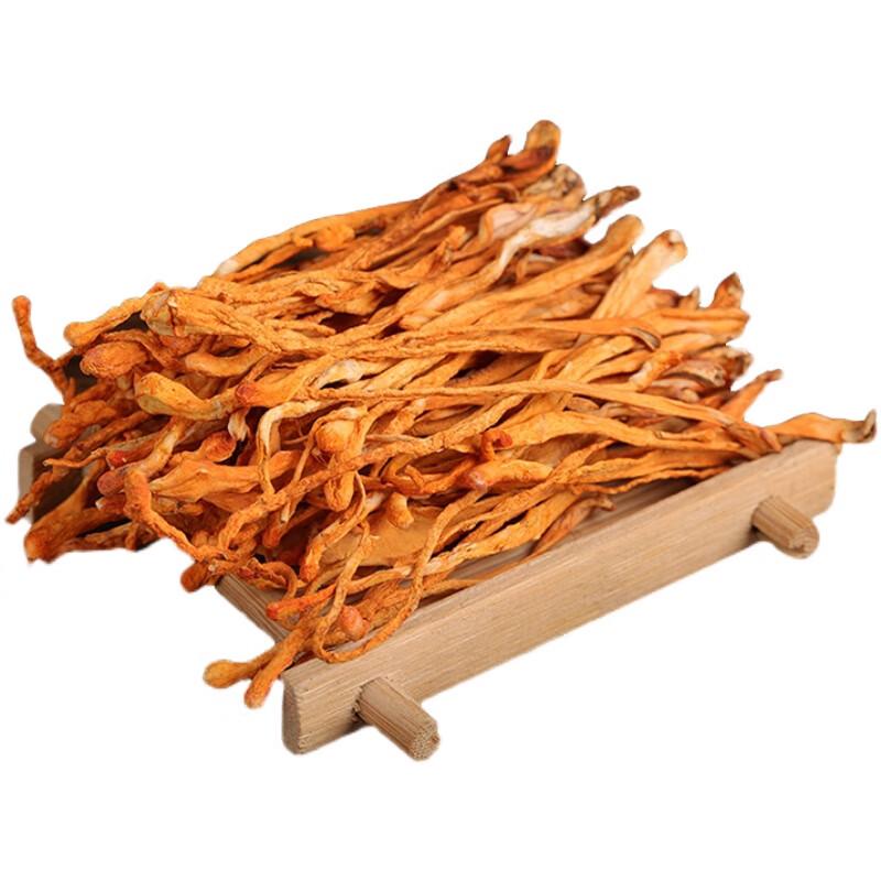 Cordyceps Flower