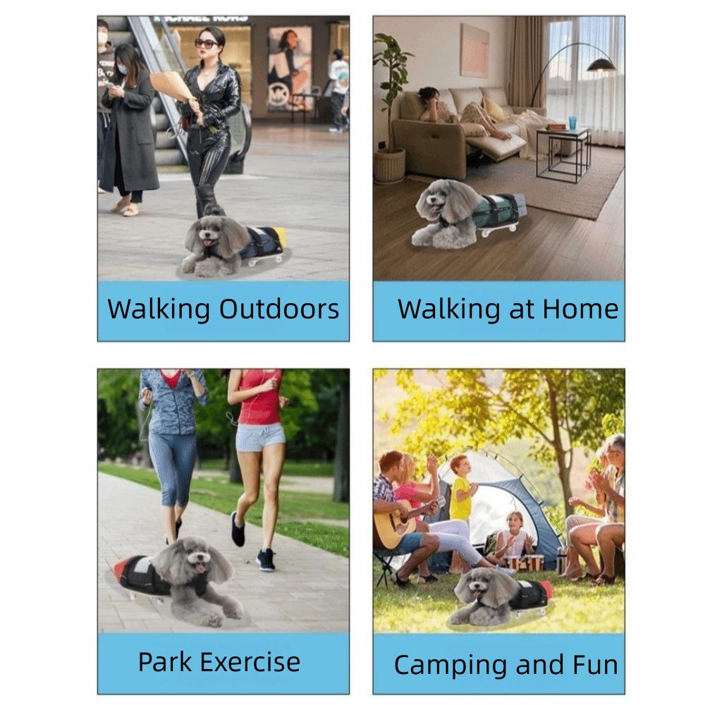 Wear-Resistant Disabled Dog Scooter Adjustable Strap Dog Walking Scooter Disabled Dogs