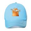 Cartoon Cat Fish Vintage Baseball Cap  Mesh Baseball Cap Dad Hat Hip Hop Snapback Cap