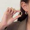 Women's Luxury Textured Metal Hoop Earrings - Versatile Niche Design