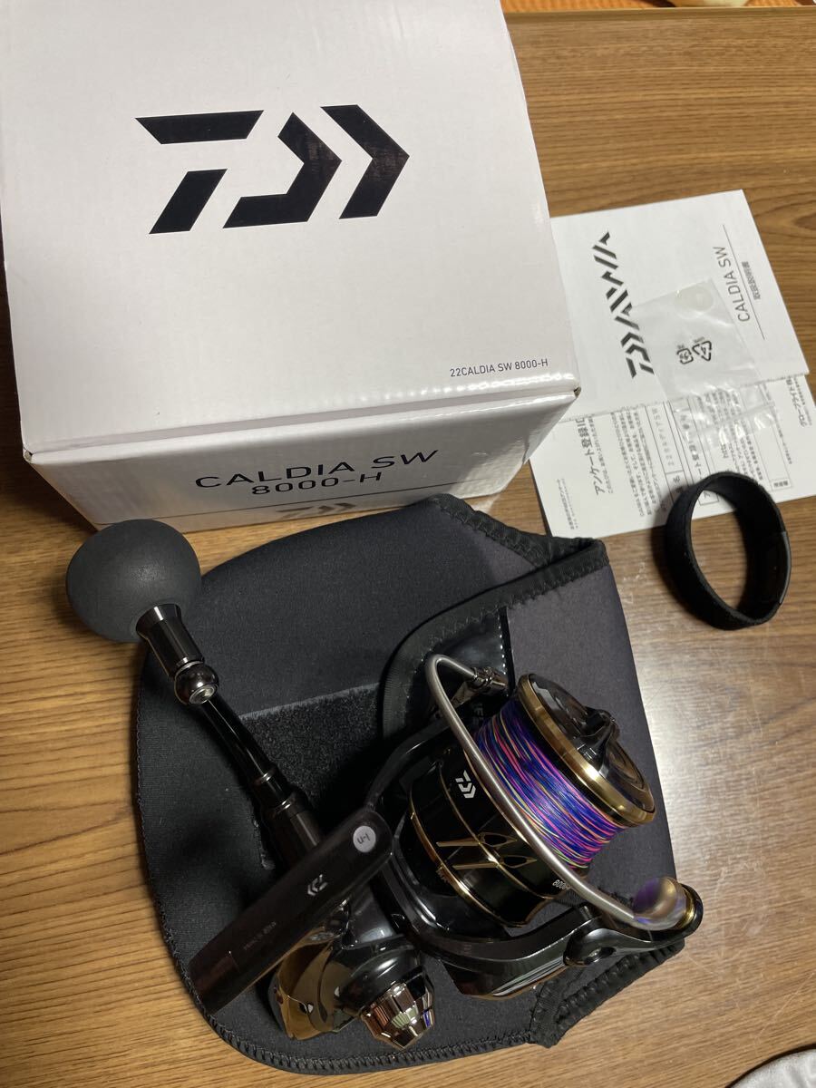 [USED]DAIWA 22 CALDIA SW 8000-H Spinning Reel Excellent Condition Smooth Rotation