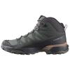 Salomon Ботинки для хайкинга X Ultra 360 Mid Goretex