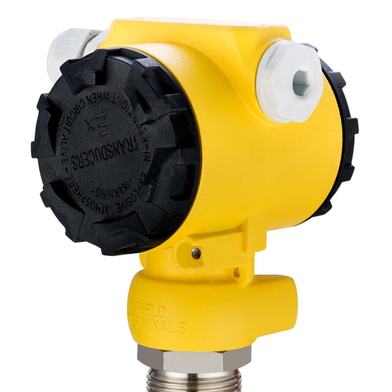 CONJANT Rod-Type Plug-in Liquid Level Transmitter with Display