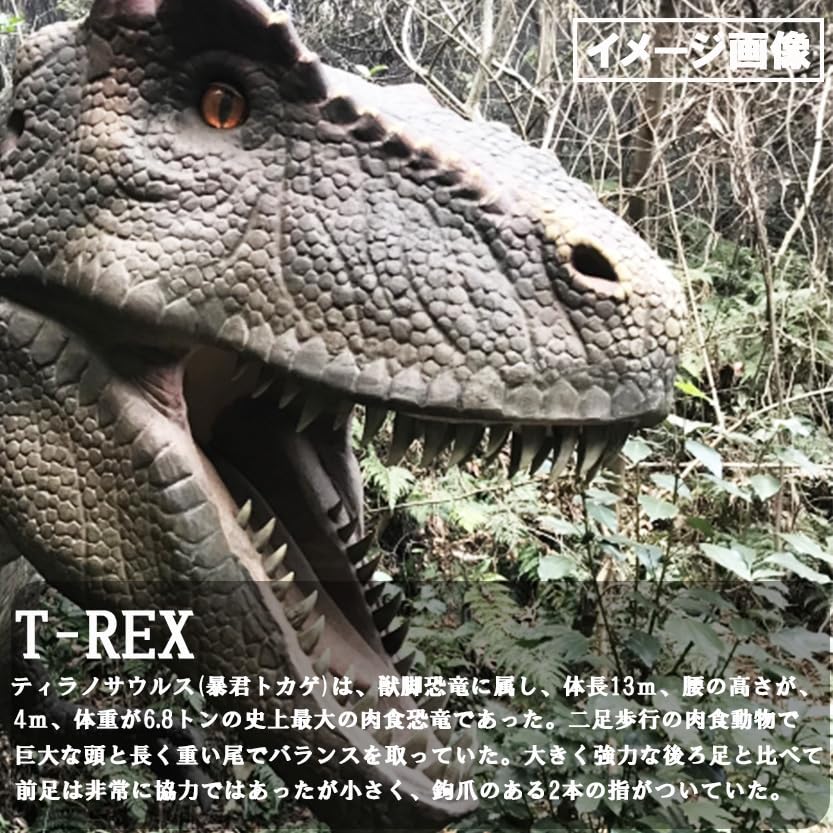 Holz 3D Puzzle, Tyrannosaurus Rex [Laufender TREX], Laufend, Brüllend, 3 Muster, 85 Teile, Benötigt 3 AAA Batterien, Alter 8+, Einfach zu montieren,