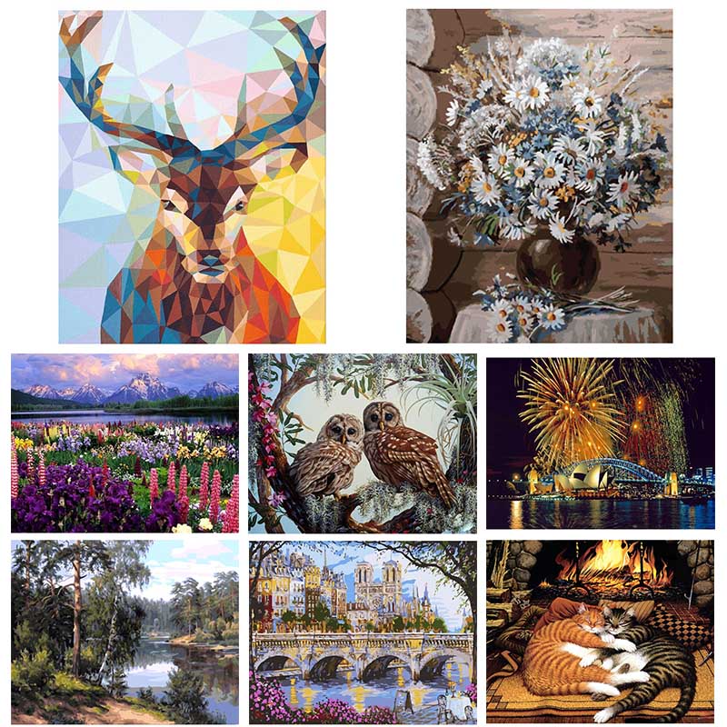 

Безрамочная масляная живопись DIY Цифровая живопись по номерам 40 * 50 см