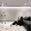 Waterproof Italian Luxury Minimalist Rug for Living Room, Bedroom, or Sofas