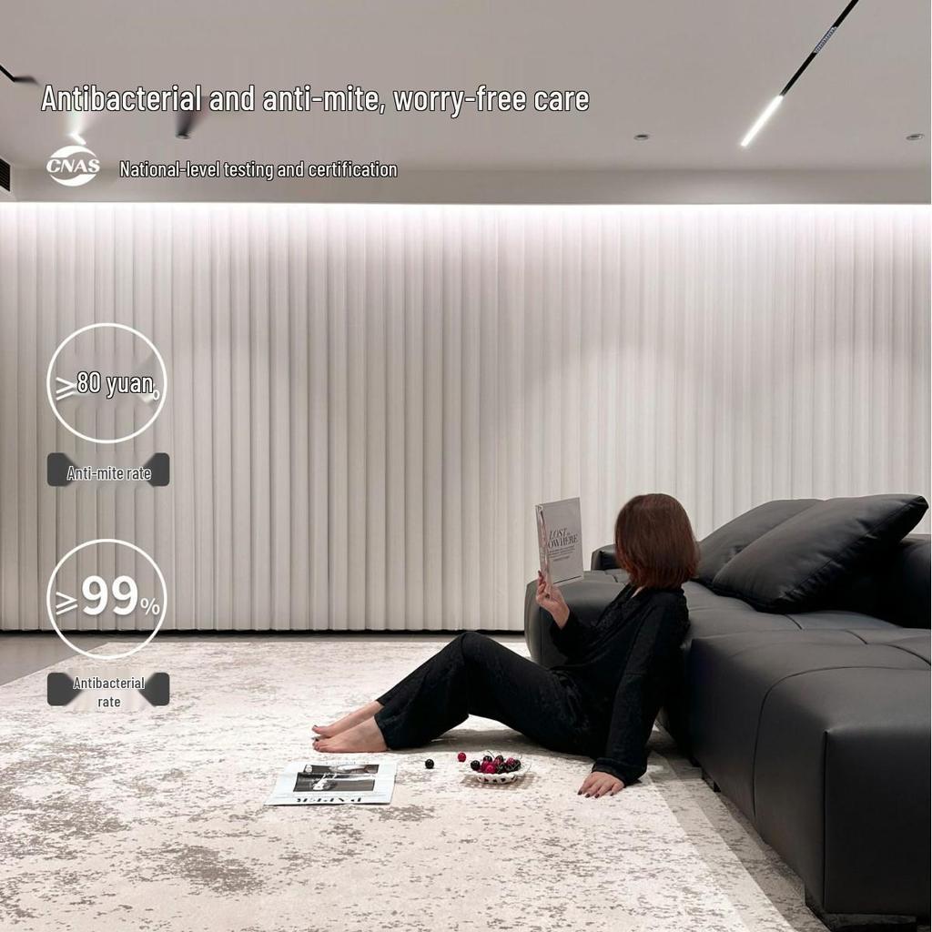 Waterproof Italian Luxury Minimalist Rug for Living Room, Bedroom, or Sofas