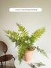 Artificial Green Plants for Indoor Decor – Potted Ornaments for Living Room or Coffee Table