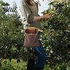 Sac de cueillette mains libres Sac de glanage pliable avec ceinture Toile et cuir PU Ceinture de taille réglable Pochette pour fruits et légumes Pliable