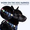 Hunde – Hundehalsbänder & Leinen