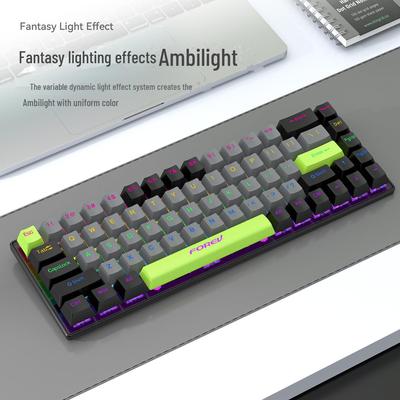 68-key RGB Tri-mode Russian Gasket Wired Mechanical Gaming Keyboard