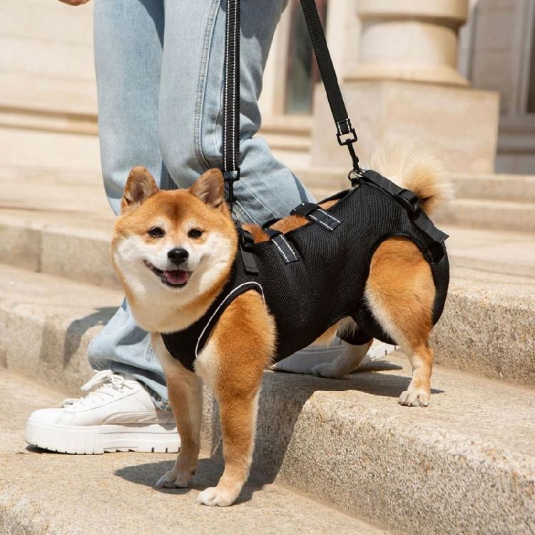 Dog Mobility Aid Harness With Reinforced Padding For Pet Dog Rehabilitation NonChoking Lift Slings for Elderly Pet Dog
