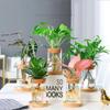 Transparent Hydroponic Plants Flower Pot Thickened Round Transparent Glass Pots Mini Glass Ecological Glass Vase Living Room
