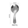 Stainless Steel Dessert Spoon Set