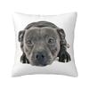 Modern Jack Russell Terrier Dog Cushion Cover Polyester Throw Pillow Case Decoration