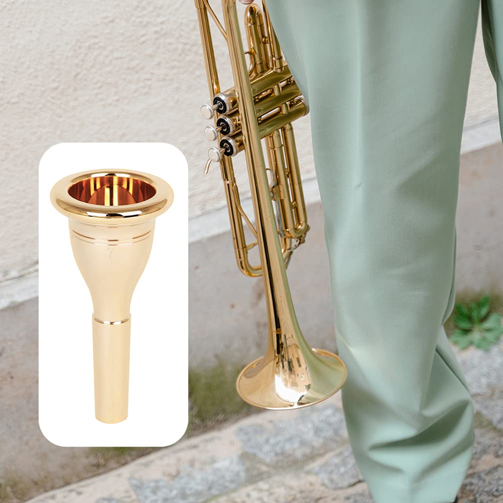 Replacement Tuba Mouthpiece with Storage Box, 13.3mm, for Tuba Practice, Beginner Tuba Players, Golden, 9.9 x 4.7 x 4.7cm