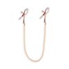 Colorful Metal Nipple Clamps With Chain Set Woman Rainbow Nipple Clips Breast Bondage Restraint Slave Fetish Female Sex Toy