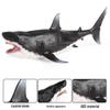 Prehistoric Marine Life Megalodon Model Toy Ornament