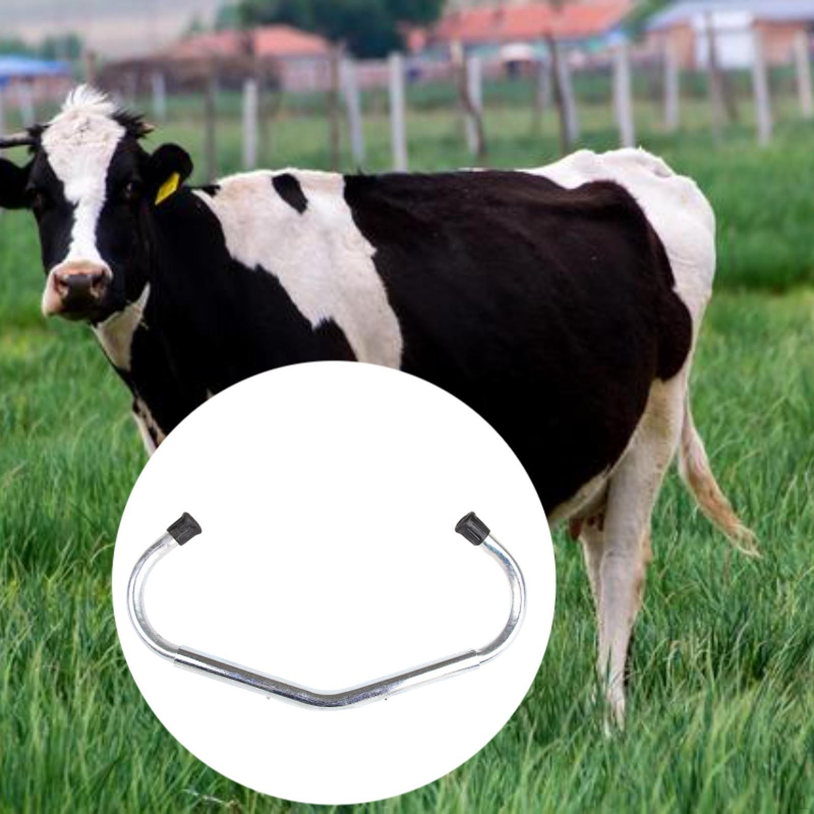 

Cattle Anti Kicking Stick for Cows Milking Dairy Farm