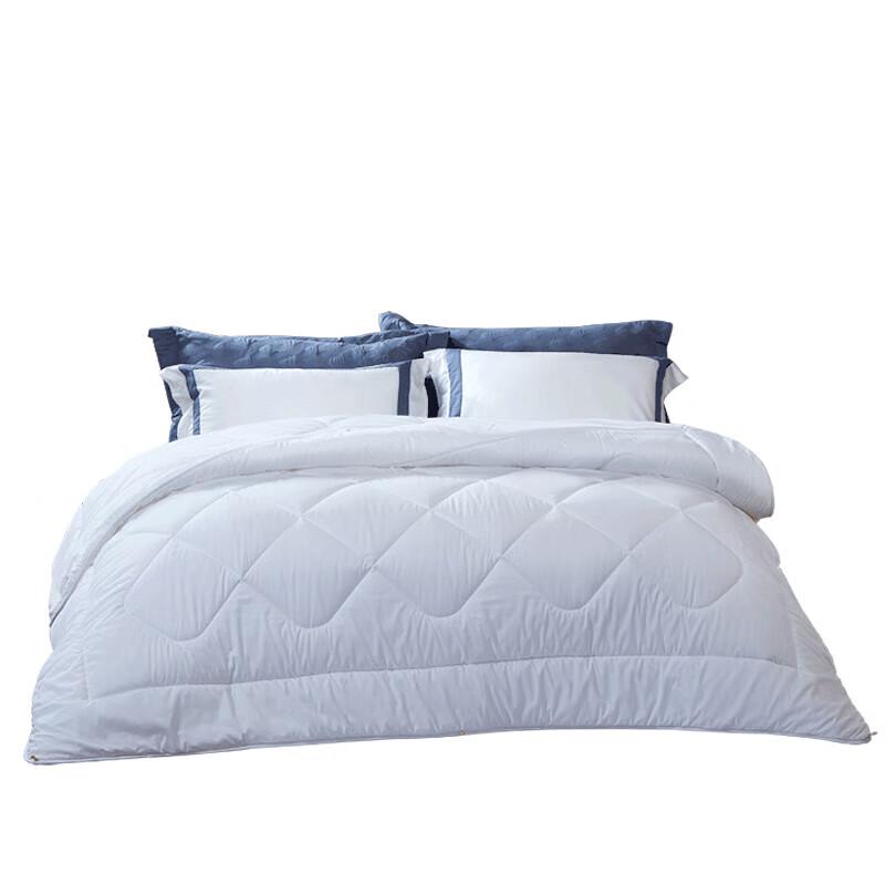 

Fuanna Thermal All-Season Fiber Quilt