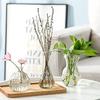 KINOKINO Vase Small Glass Flower Single Stem 3-Piece Set Stylish Scandinavian Transparent Mini Jute String Ikebana Hydroponics Interior