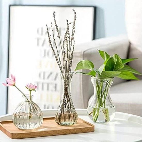 KINOKINO Vase Small Glass Flower Single Stem 3-Piece Set Stylish Scandinavian Transparent Mini Jute String Ikebana Hydroponics Interior