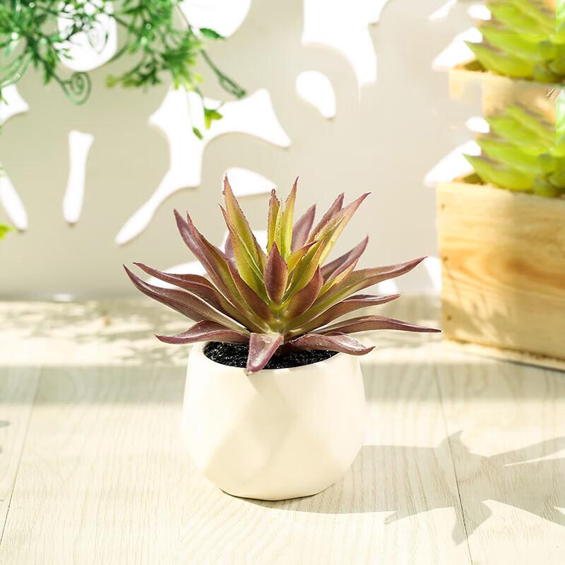 Minimalist Faux Succulent Bonsai