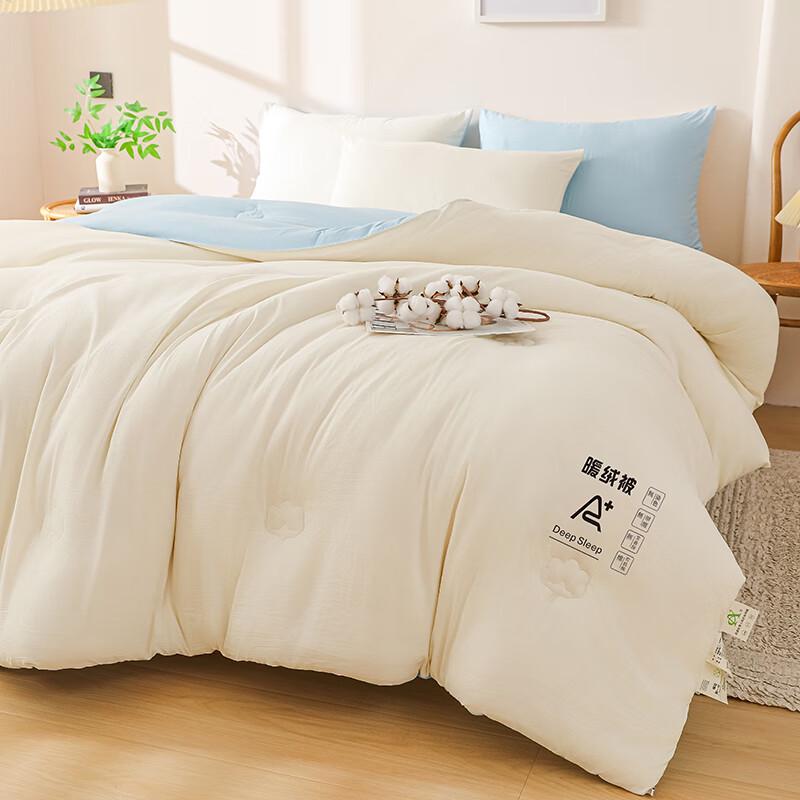 Youmeng Home Warm Washed Cotton Winter Quilt