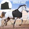 Gilet de protection respirant pour épaule de cheval, extensible, isolant thermique, anti-frottement, protège-poitrine pour l'équitation, protection du cœur
