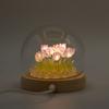 Floral Glow Garden Dome – 20 Tulips – LED USB