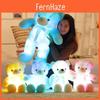 Adorable Teddy Bear Plush Toy With Led Colorful Lights Small Size Long Plush Flashing Function