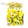DIY Harz Kunst Blumen-Set 1 Set Getrocknete Gepresste Blumen Bunte Natürliche Bastelbedarf Kerzenherstellung Schmuck Epoxidform Vase Nagelkarte Scrapbooking