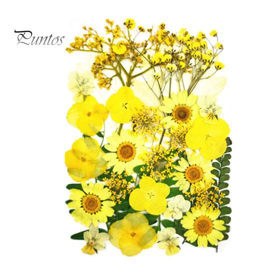 DIY Harz Kunst Blumen-Set 1 Set Getrocknete Gepresste Blumen Bunte Natürliche Bastelbedarf Kerzenherstellung Schmuck Epoxidform Vase Nagelkarte Scrapbooking