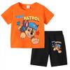 Paw Patrol Kids Set Boys Short Sleeve T-Shirt +Shorts 2-Piece Outfits Boys Cartoon Suit Casual Children Clothes For Summer