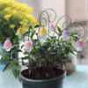 9Pcs Garden Stake Lily of The Valley Fairy Garden Stake Set Resin Flower Stake for Outdoor Decoration