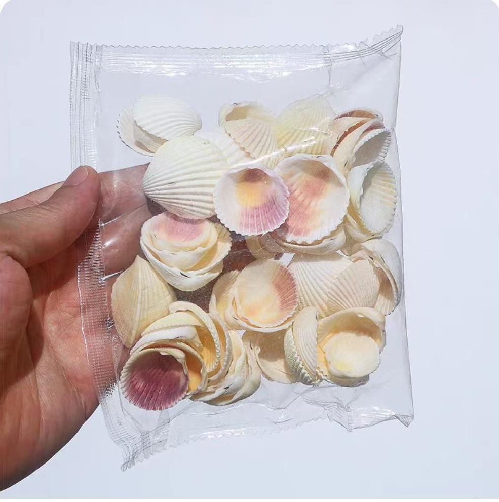 Handmade Seashell & Starfish DIY Photo Frame and Fish Tank Decoration