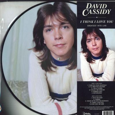 LP-Schallplatte DAVID CASSIDY - I Think I Love You (Greatest Hits L CLO0791 Goldenlane Reco 2018 US Pop