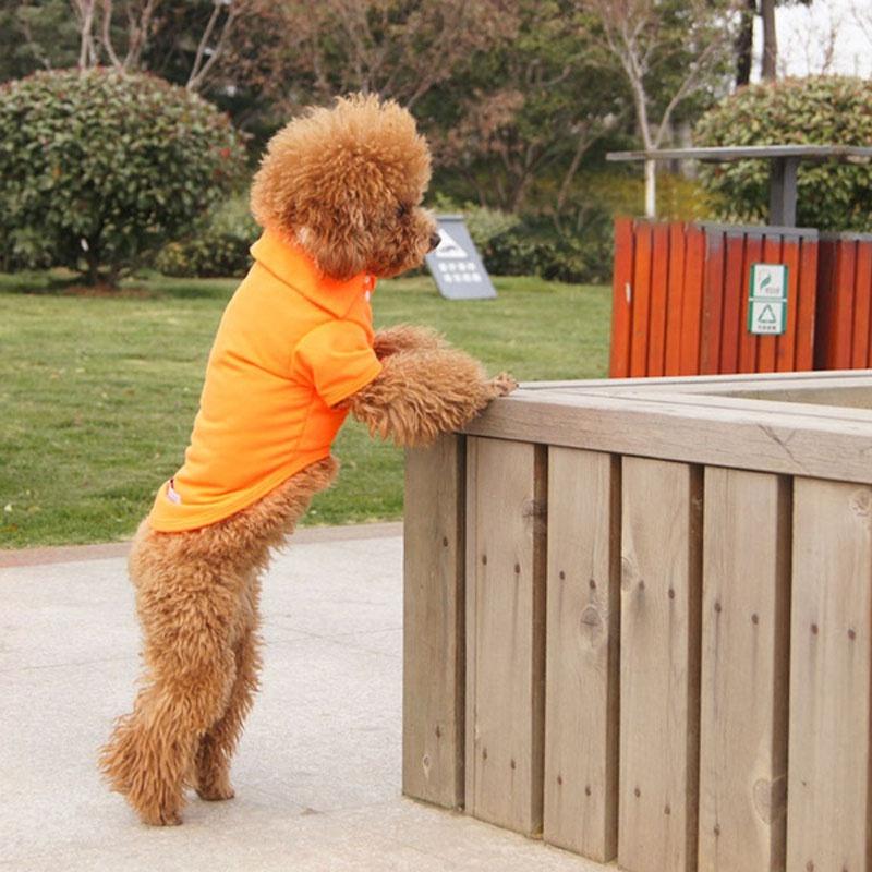 Hunde-Shirt, weich, atmungsaktiv, für Hunde/Katzen, farbenfrohes Welpen-T-Shirt, Kleidung für kleine bis mittelgroße Hunde, Welpen